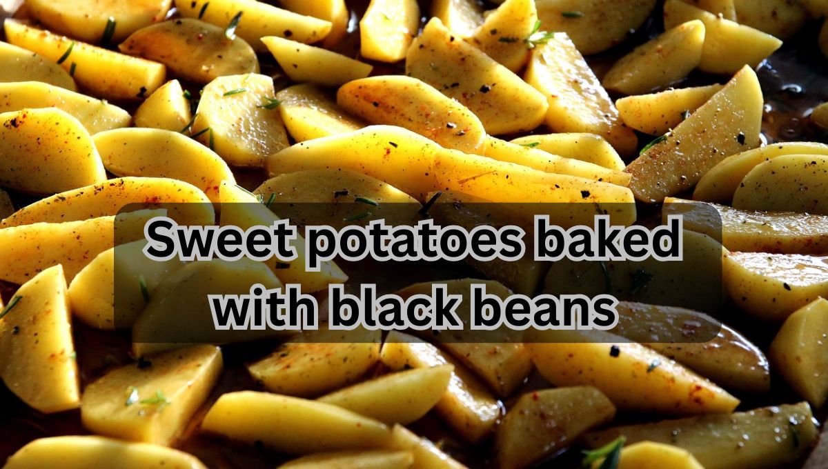 Affordable High Nutrient Meals