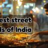 10 best street foods of India