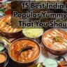 15 Best India Most Popular Yummy Dishes