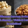 Difference Between Kaju and Badam