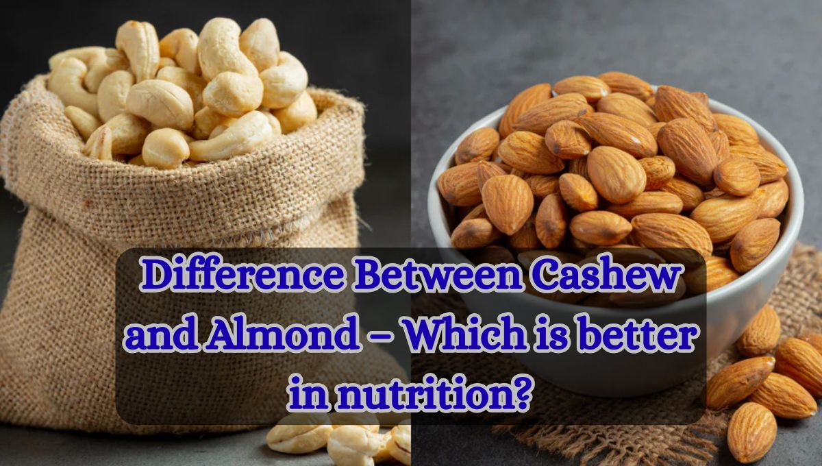 Difference Between Kaju and Badam
