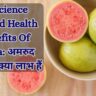 10 Science Related Health Benefits Of Guava